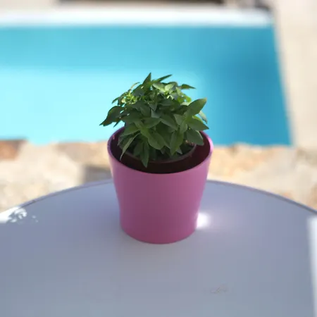 Niriides Homes & Hotel apartamentowy Elia (Mykonos)