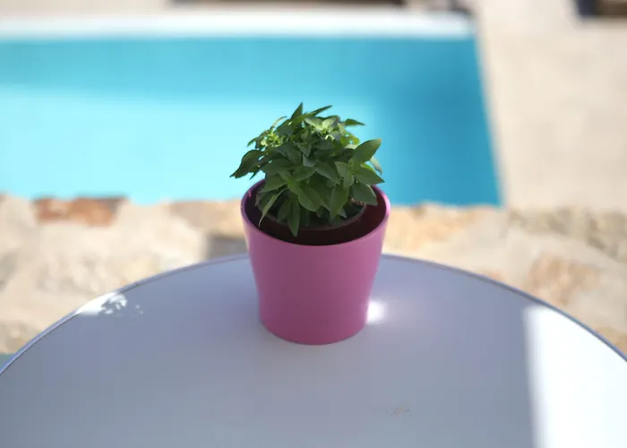 Niriides Homes & Apartmanhotel Elia (Mykonos)